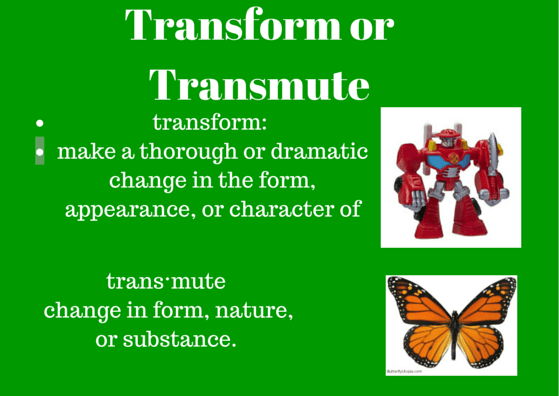 transform.transmute