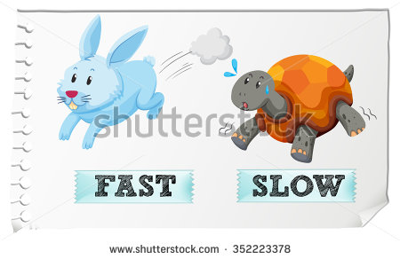 fast.slow